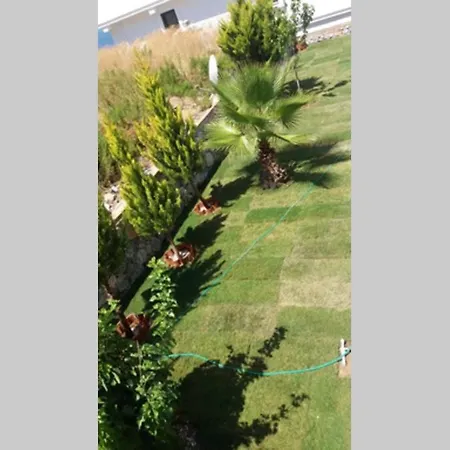 Bodrum Dream