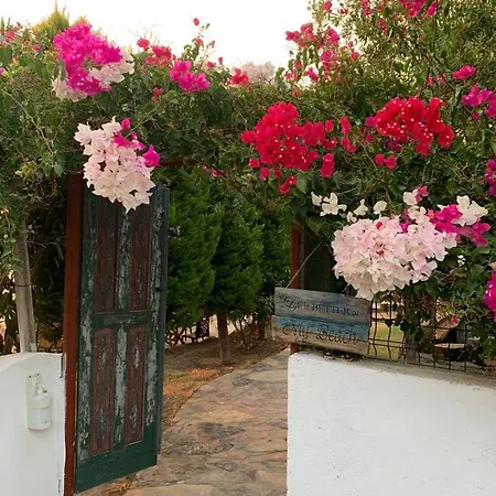 Bodrum Dream Milas