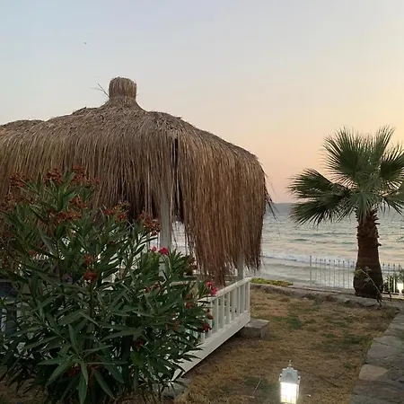 Bodrum Dream Villa Milas
