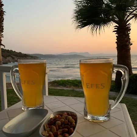 Bodrum Dream Villa Milas